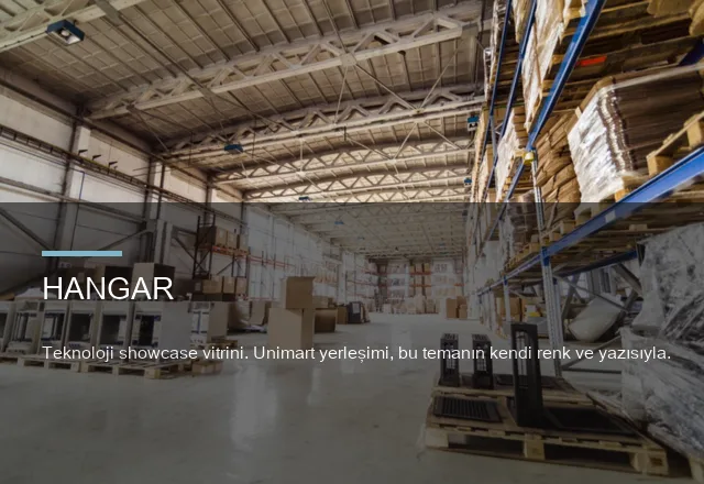Hangar teması düzenleyici önizlemesi